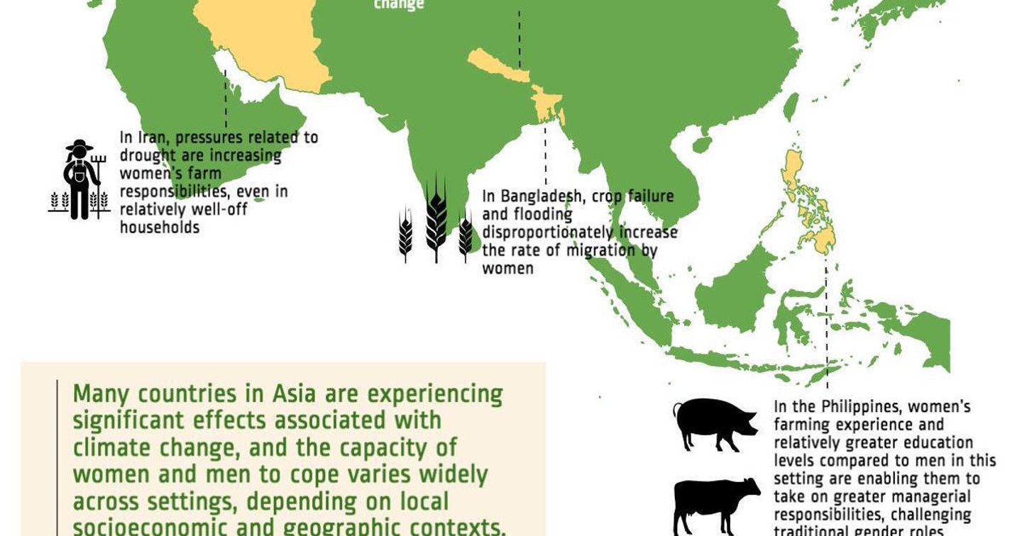 Infographic: Gender and Climate Change — WEDO