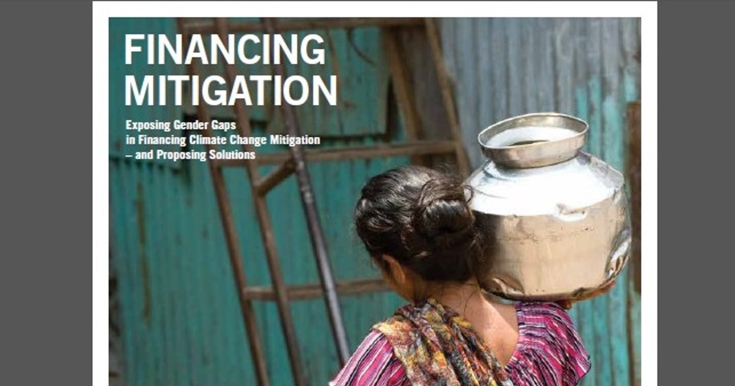 Exposing Gender Gaps in Financing Climate Change Mitigation — WEDO