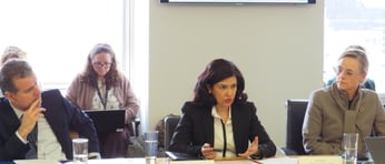 CSW Climate Event March 2026 Speakers