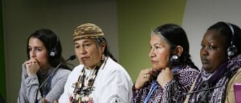 23243340179 ee0d53d53d z e1464105351635