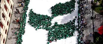 41483272 cornplant afp4161