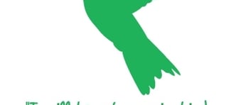 Hummingbird Tshirt21