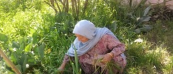 Sikh Women e1464103727607