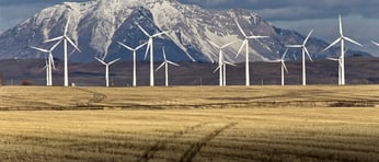 Dreamstimemaximum 35501469