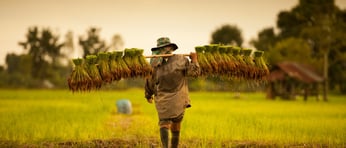 Dreamstimemaximum 59559003