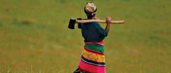 Shutterstock 154270190 e1464025889259