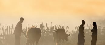 Shutterstock 154556609