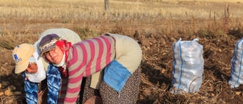 Shutterstock 280030217