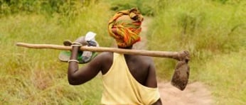 Shutterstock 352436789 e1464026893715