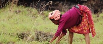 Woman in field twitter2