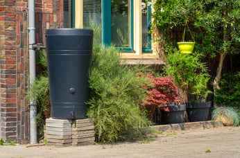 Plastic Rain Barrel Connected to Downspout on City Street, Eco-Friendly Rainwater Harvesting for Reuse By Milos