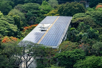 Adobe Stock 1463335838