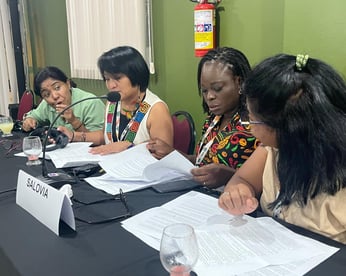 Womens Delegate Fund Night School COP30 1