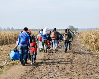 People migrating Adobe Stock 379881175