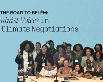 Feminist Voices in UN Climate Negotiations