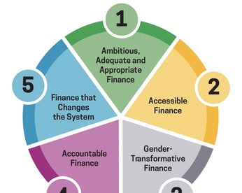 5 Dimensions of Feminist Climate Finance