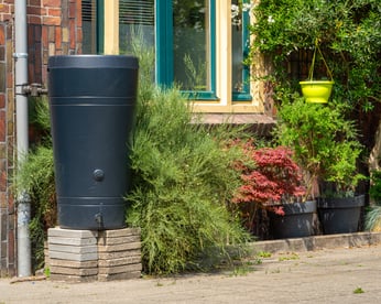 Plastic Rain Barrel Connected to Downspout on City Street, Eco-Friendly Rainwater Harvesting for Reuse By Milos