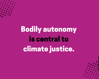 Bodily Autonomy Climate