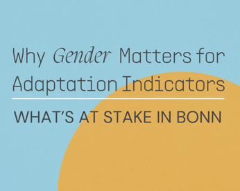 Bonn Article Featured Image