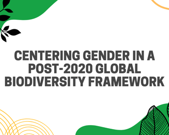 Centering Gender in a Post 2020 Global Biodiversity Framework Mishys Blog April 2022