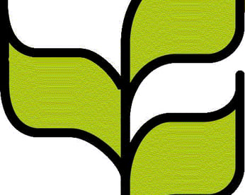 Log cbd leaf1