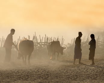 Shutterstock 154556609