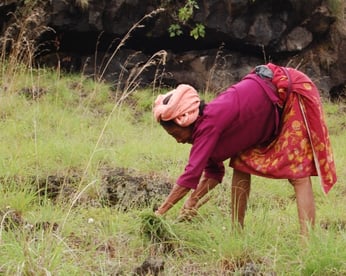 Woman in field1