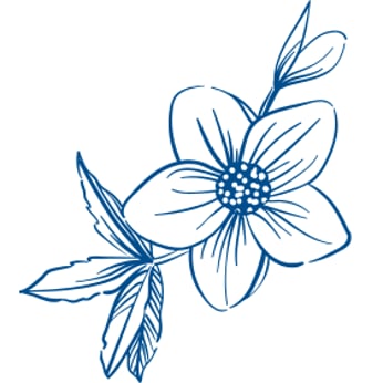 Untitled design 7