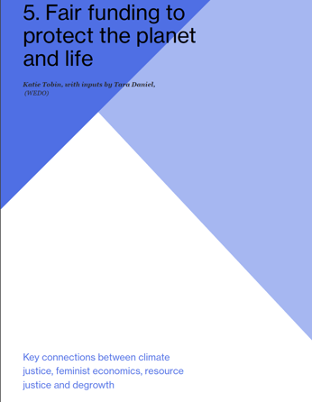 INDICO Fair Funding to Protect the Planet and Life 2025