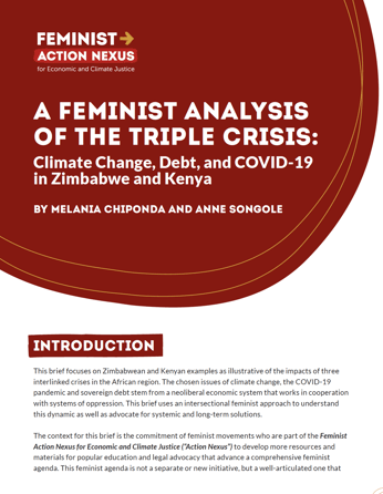 Feminist Analysis of the Triple Crisis