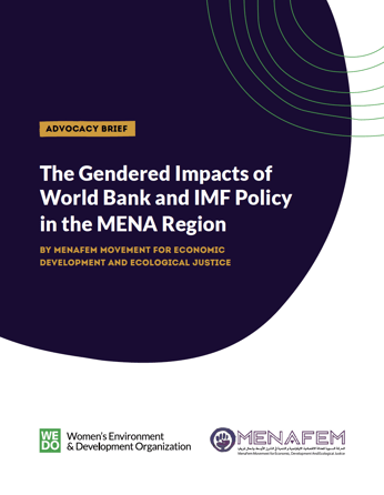 The Gendered Impacts of World Bank and IMF Policy in the MENA Region