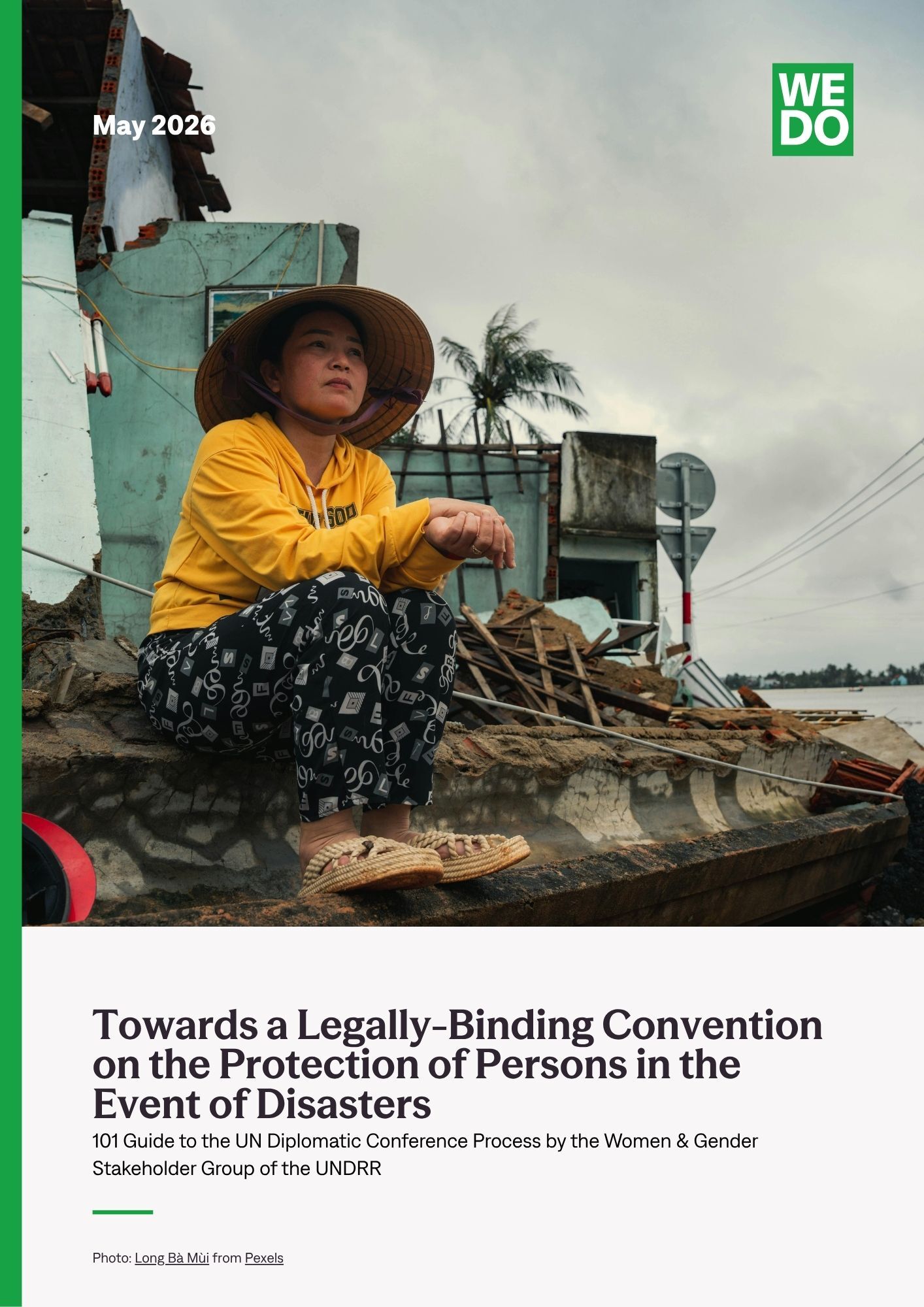 Legally Binding Convention for PPED Brief cover