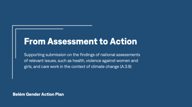 Presentation on Belem GAP National Assessments Assess to Act