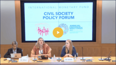 International Monetary Fund Civial Society Policy Forum Beyond Austerity 300x169