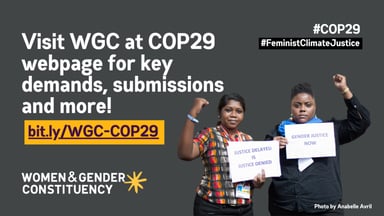 WGC COP29 Graphics 3 1024x576