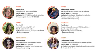 WEDO COP30 Delegation