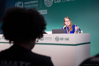 6 12 COP 28 13 1 1024x683