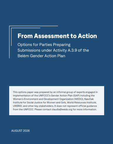 From Assessment to Action Options Paper