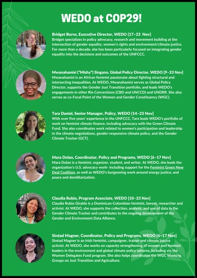 WEDO COP29 Delegation 2